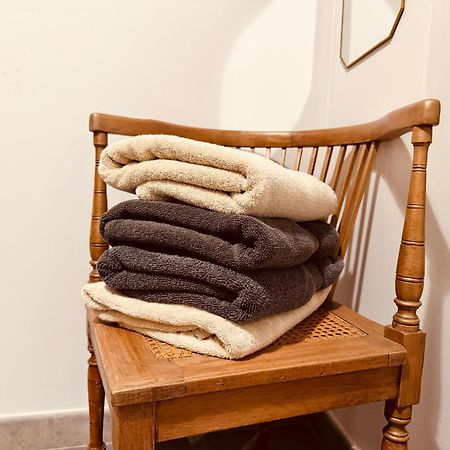 Le Tailleur, Centre Historique, Fibre, Climatisation, Ess, Rez-De-Chaussee, Bedinshop Romans-sur-Isère Dış mekan fotoğraf