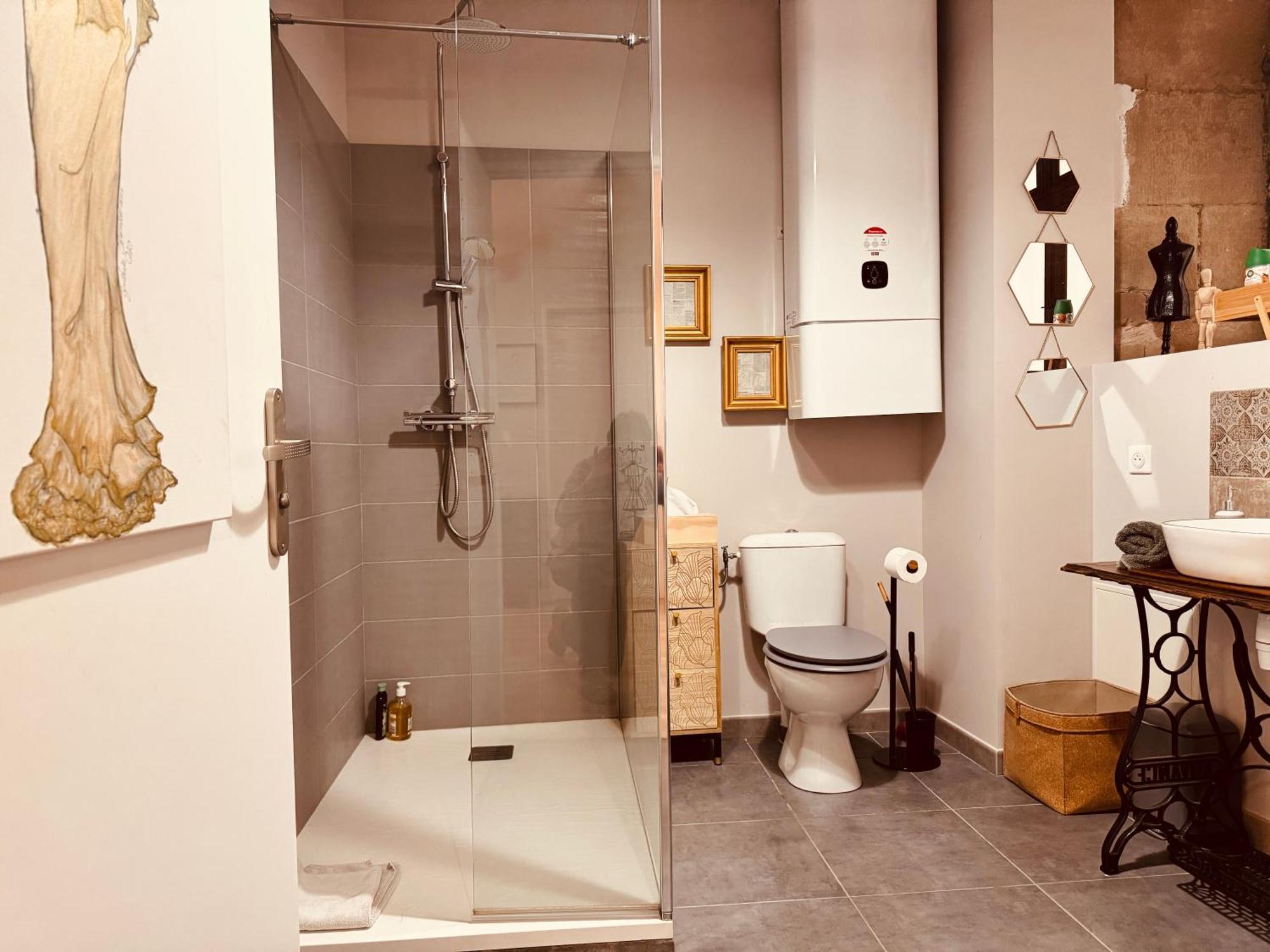 Le Tailleur, Centre Historique, Fibre, Climatisation, Ess, Rez-De-Chaussee, Bedinshop Romans-sur-Isère Dış mekan fotoğraf